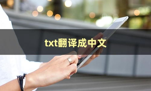 txt翻譯成中文的方法有哪些 想知道的小伙伴可以看過(guò)來(lái)哦